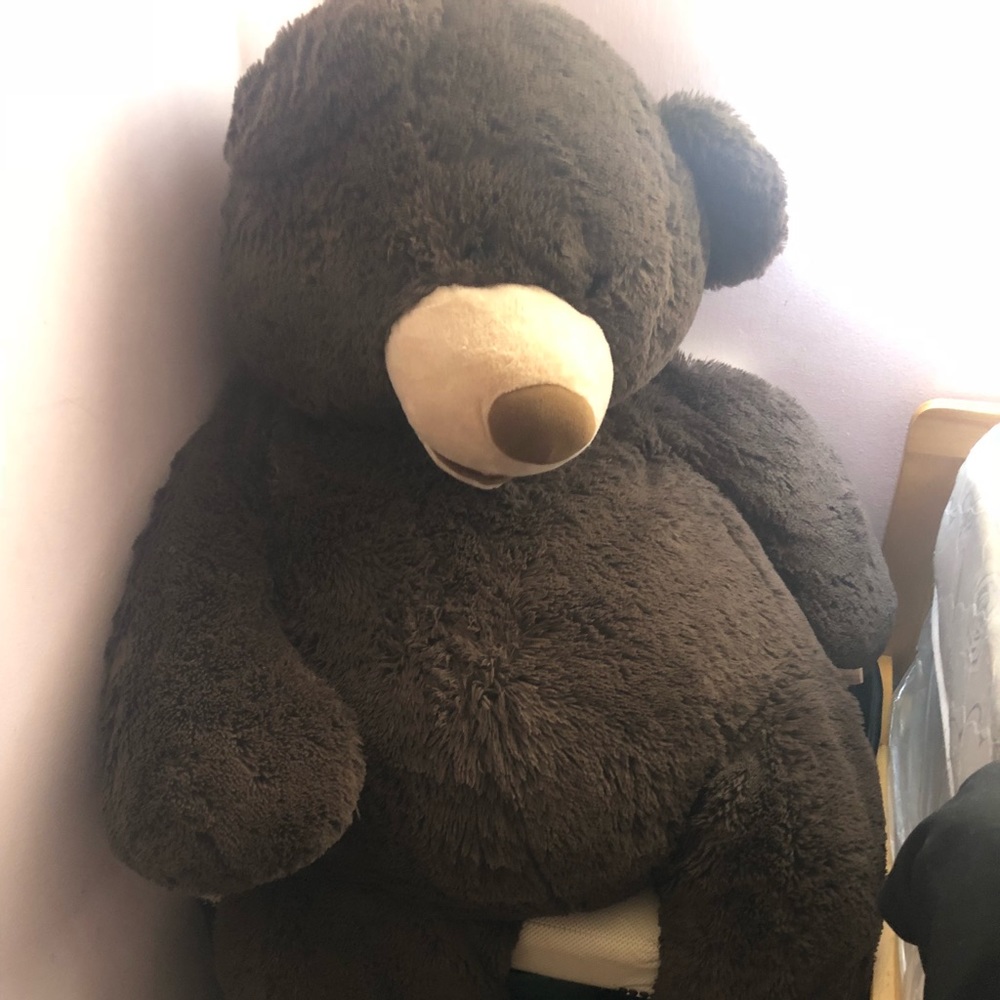 Bears 4 feet tall